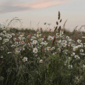 Spell swap for Melissa